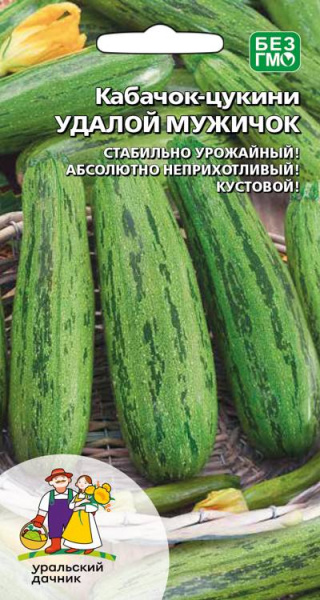 Кабачок Удалой мужичок цукини УД Кабачок Удалой мужичок цукини УД
