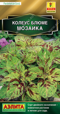Колеус блюме Мозаика АЭ 5шт Колеус блюме Мозаика АЭ 5шт