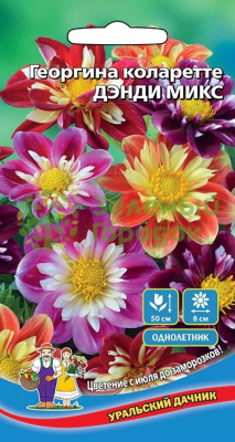 Георгина коларетте Денди микс УД