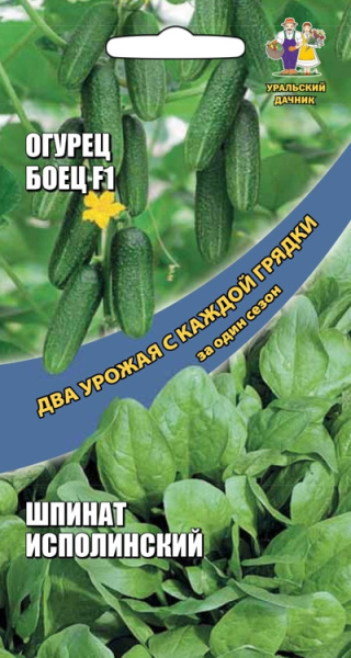 Огурец Боец F1 корнишон 8шт + Шпинат Исполинский 1г Два урожая Огурец Боец F1 корнишон 8шт + Шпинат Исполинский 1г Два урожая