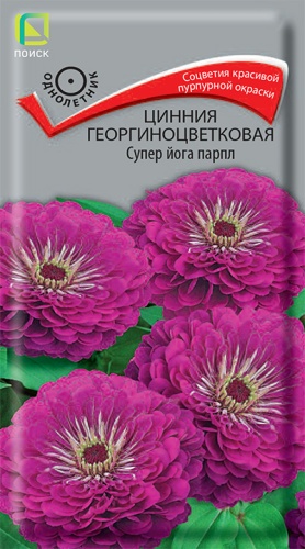 Цинния георгиноцветковая Супер йога парпл (ЦВ) 0,4г