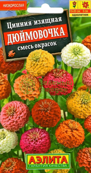 Цинния Дюймовочка изяшная смесь окрасок АЭ 0,3г