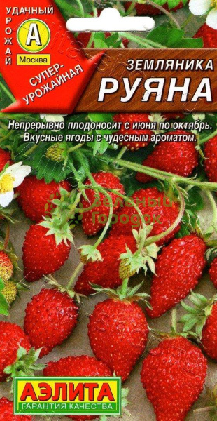 Земляника Руяна АЭ 0,04г Земляника Руяна АЭ 0,04г