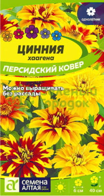 Цинния Персидский Ковер хаагена SA 0,3г