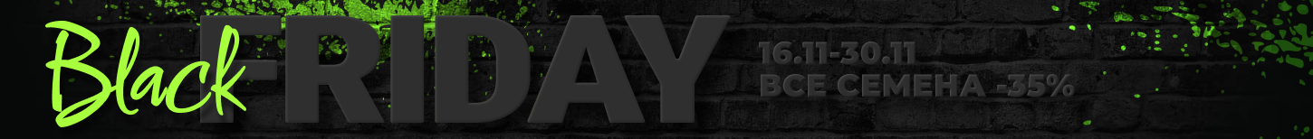 Черная Пятница