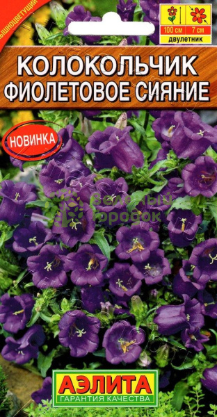 Колокольчик Фиолетовое сияние АЭ 0,1г Колокольчик Фиолетовое сияние АЭ 0,1г
