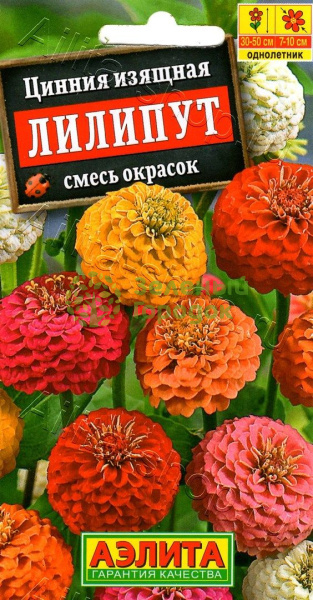 Цинния Лилипут смесь АЭ 0,3г