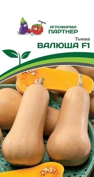 Тыква ВАЛЮША F1 мускатная 5шт