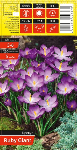 Крокус RUBY GIANT 5-6 каперс 5шт/уп (уценка, только самовывоз)