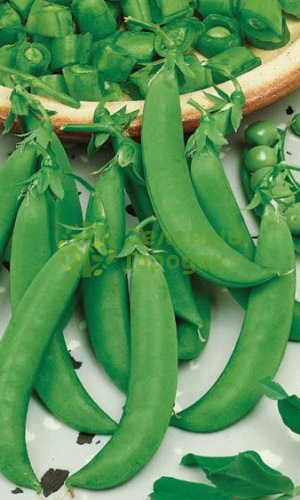 Горох Амброзия (Марс) белый пакет 8г