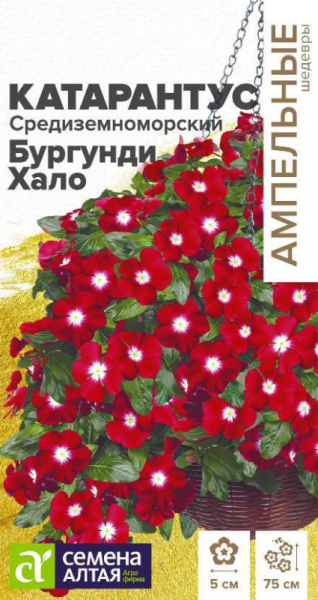 Катарантус Средиземноморский Бургунди Хало SA 5шт Катарантус Средиземноморский Бургунди Хало SA 5шт