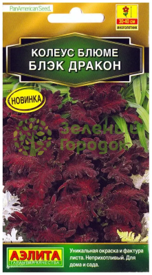 Колеус блюме Блэк дракон АЭ 5шт