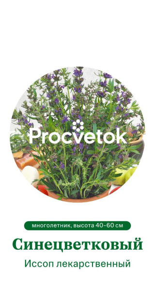 Иссоп лекарственный Синецветковый Германия Pro 0,2г Иссоп лекарственный Синецветковый Германия Pro 0,2г
