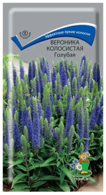 Вероника колосистая Голубая (ЦВ) 0,1г