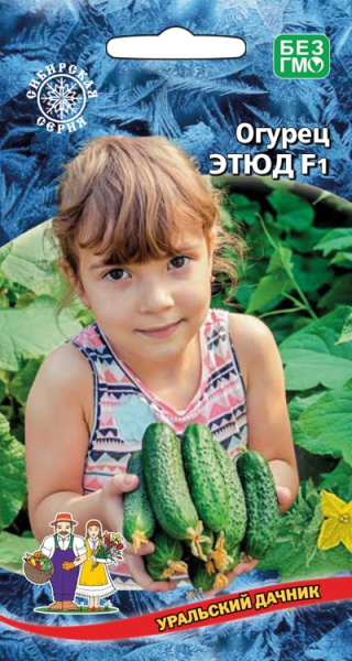 Огурец Этюд F1 УД 10шт Огурец Этюд F1 УД 10шт