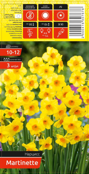 Нарцисс MARTINETTE 10-12 каперс 3шт/уп (уценка, только самовывоз)