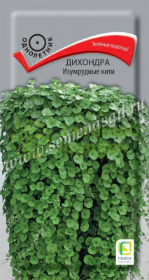 Дихондра Изумрудные нити (ЦВ) 5шт