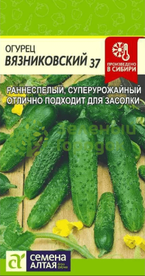 Огурец Вязниковский 37 SA 0,5г Огурец Вязниковский 37 SA 0,5г