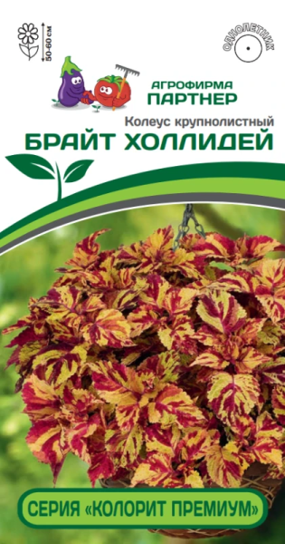 Колеус шлемниковидный «КОЛОРИТ ПРЕМИУМ» БРАЙТ ХОЛЛИДЕЙ 2-ной пак. 5шт Колеус шлемниковидный «КОЛОРИТ ПРЕМИУМ» БРАЙТ ХОЛЛИДЕЙ 2-ной пак. 5шт