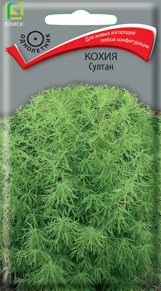 Кохия Султан (ЦВ) 0,1г