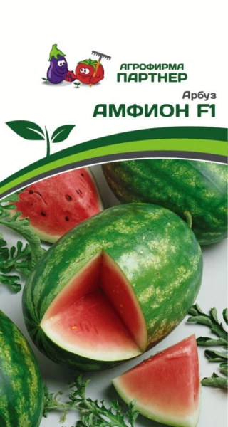 Арбуз АМФИОН F1 2-ной пак. 5шт Арбуз АМФИОН F1 2-ной пак. 5шт