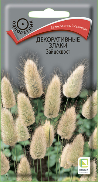 Декоративные злаки Зайцехвост (ЦВ) 0,1г