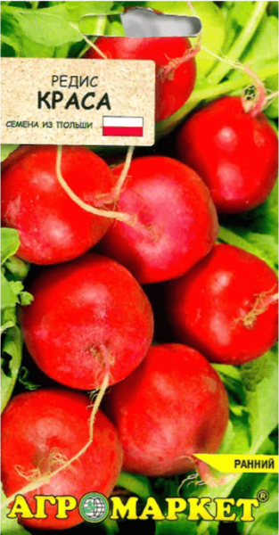 Редис Краса АМ 2г Редис Краса АМ 2г