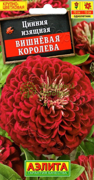 Цинния Вишневая королева изящная АЭ 0,3г