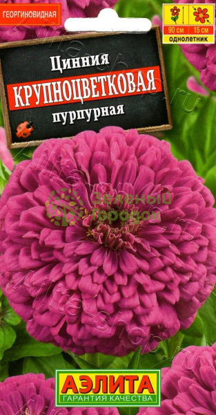 Цинния Крупноцветковая пурпурная АЭ 0,3г