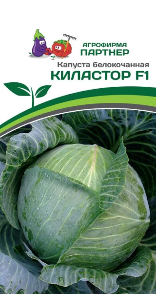 Капуста б/к КИЛАСТОР F1 10шт в амп Капуста б/к КИЛАСТОР F1 10шт в амп
