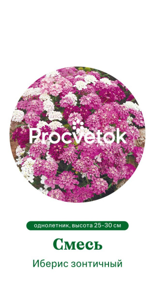 Иберис зонтичный смесь Германия Pro 0,5г Иберис зонтичный смесь Германия Pro 0,5г