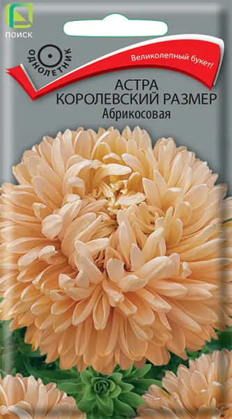 Астра королевский размер Абрикосовая (ЦВ) 0,1г Астра королевский размер Абрикосовая (ЦВ) 0,1г