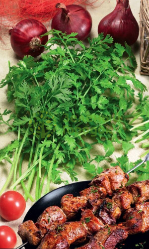 Кориандр (кинза) Шашлычный (Марс) белый пакет 2г