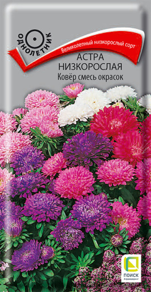 Астра низкорослая Ковер смесь окрасок (ЦВ) 0,2г Астра низкорослая Ковер смесь окрасок (ЦВ) 0,2г