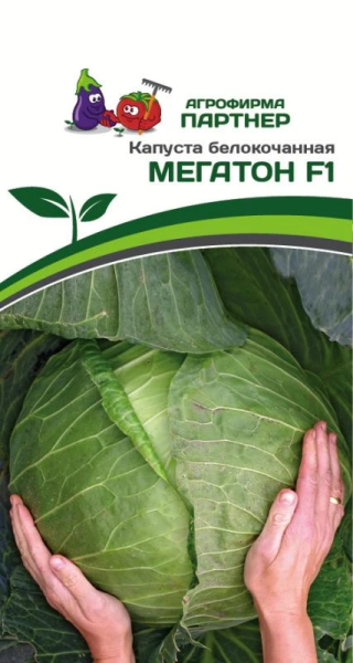 Капуста б/к МЕГАТОН F1 10шт в амп Капуста б/к МЕГАТОН F1 10шт в амп