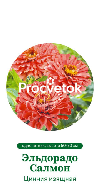 Цинния изящная Эльдорадо Салмон Германия Pro 0,3г