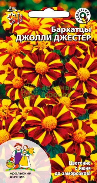 Бархатцы Джолли Джестер УД 0,2г
