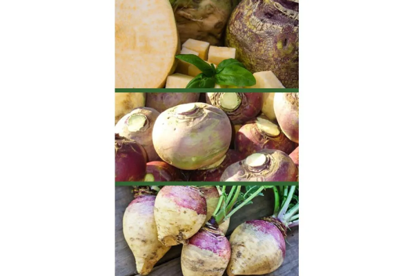 Брюква Красносельская ES белый пакет 0,5г