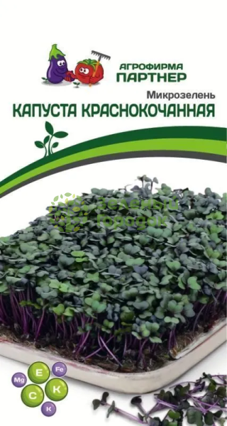 Микрозелень КАПУСТА КРАСНОКОЧАННАЯ 5г Микрозелень КАПУСТА КРАСНОКОЧАННАЯ 5г