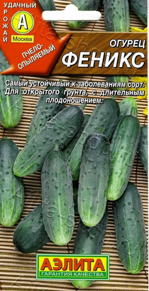 Огурец Феникс АЭ 20шт Огурец Феникс АЭ 20шт
