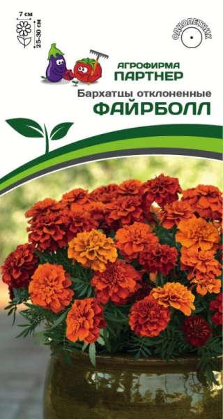 Бархатцы отклоненные ФАЙРБОЛЛ 10шт