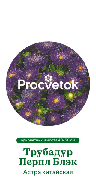 Астра китайская Трубадур Перпл Блэк Германия Pro 5шт