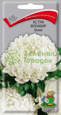 Астра Фламир Белая (ЦВ) 0,3г Астра Фламир Белая (ЦВ) 0,3г
