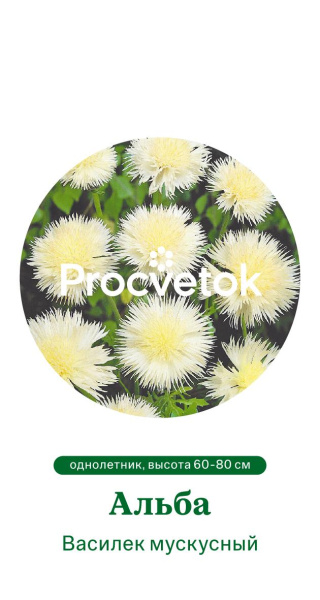 Василек мускусный Альба Германия Pro 0,5г