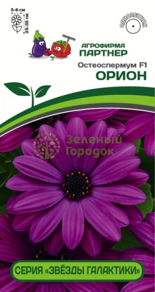 Остеоспермум эклона Звёзды галактики ОРИОН F1 3шт в амп