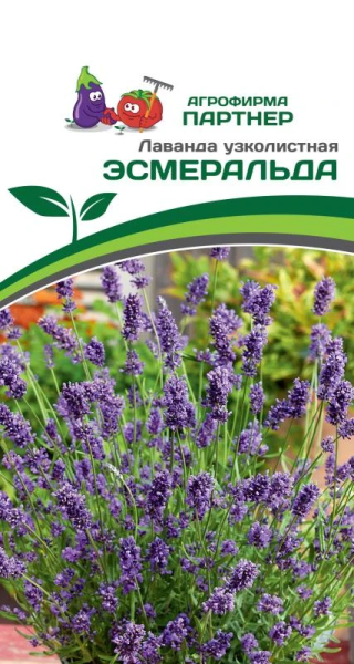 Лаванда узколистная ЭСМЕРАЛЬДА 0,05г в амп Лаванда узколистная ЭСМЕРАЛЬДА 0,05г в амп