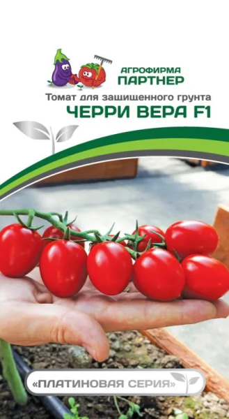 Томат ЧЕРРИ ВЕРА F1 2-ной пак. 5шт Томат ЧЕРРИ ВЕРА F1 2-ной пак. 5шт