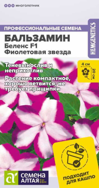 Бальзамин Беленс F1 Фиолетовая звезда SA 4шт