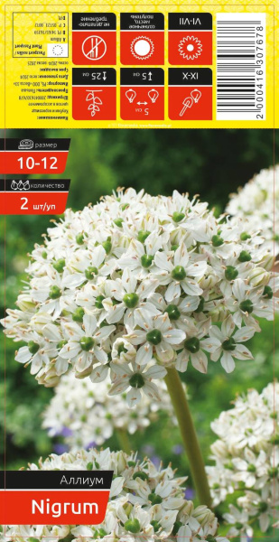 Аллиум NIGRUM 10-12 каперс 2шт/уп (уценка, только самовывоз)