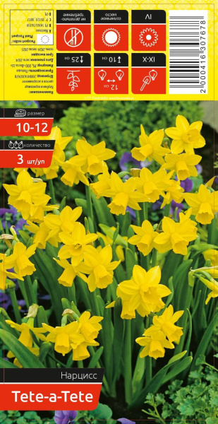 Нарцисс TETE-A-TETE 10-12 каперс 3шт/уп (уценка, только самовывоз)